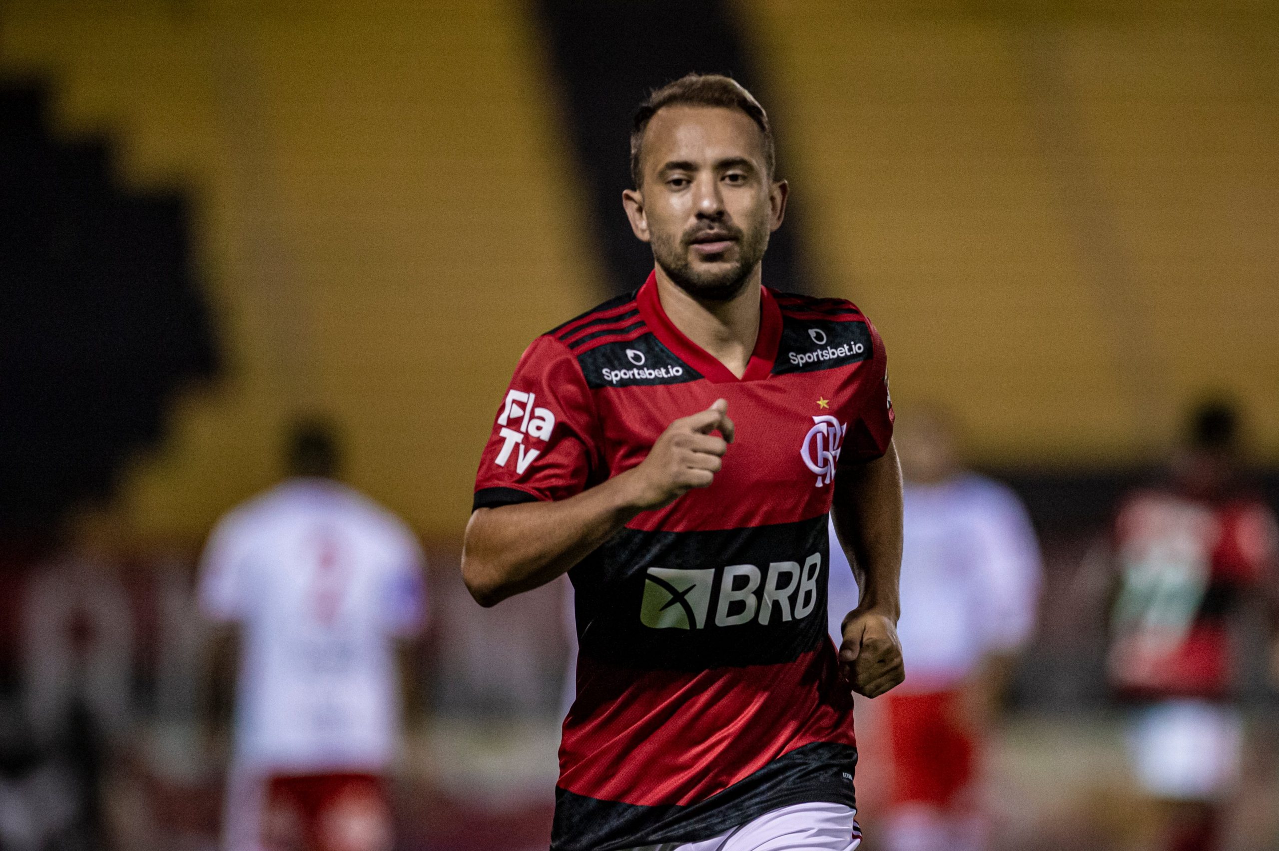 Marcelo Cortes / Flamengo / Everton Ribeiro