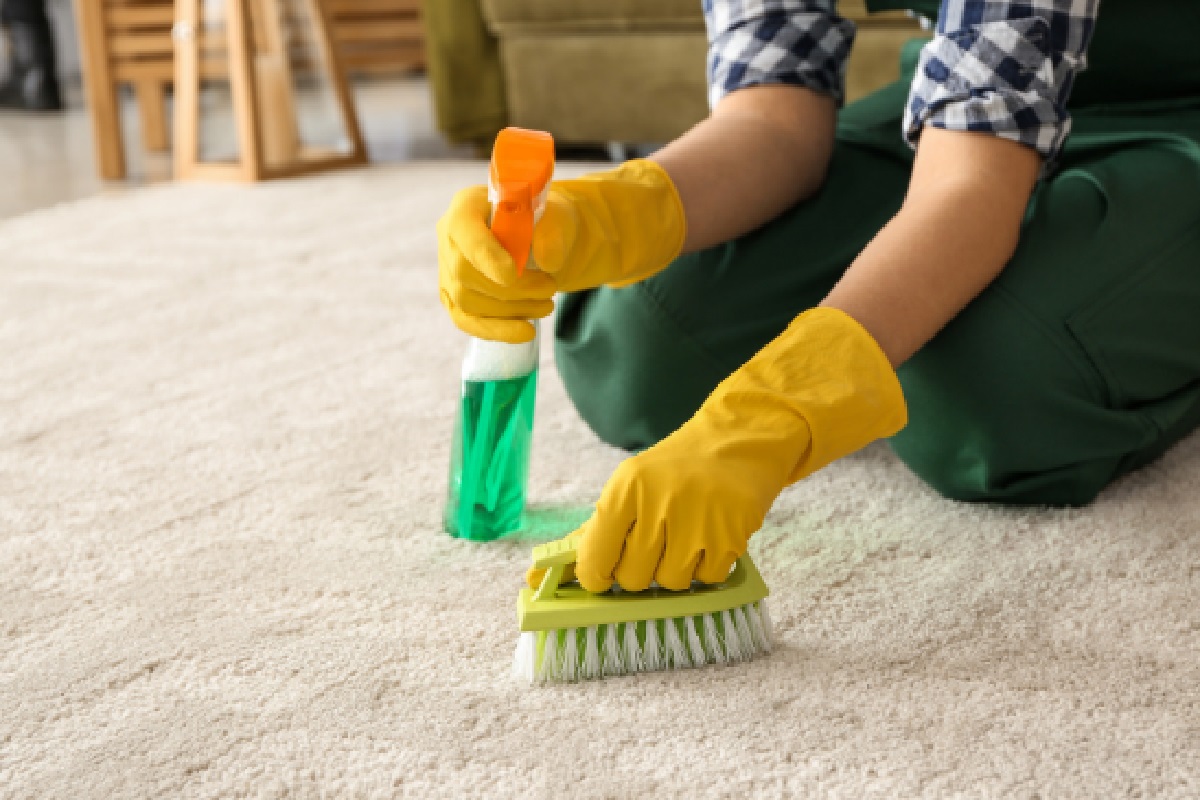Limpar tapete: passo a passo para ficar completamente higienizado (Foto: Canva Pro)