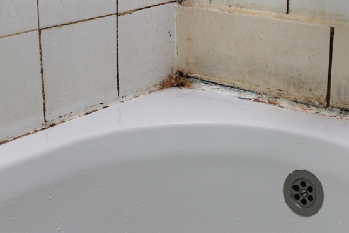 Tirar mofo do banheiro: passo a passo para acabar com fungo