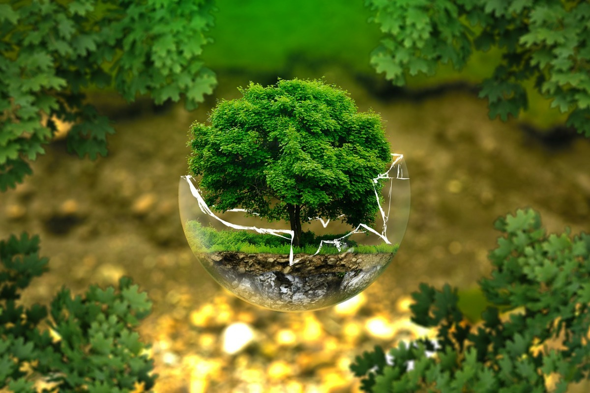 Comissão debate sobre meio ambiente de Minas Gerais - Foto Pixabay